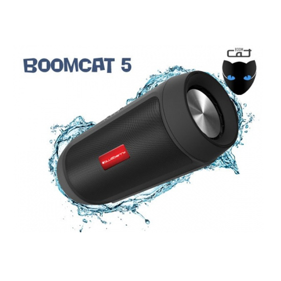 Bežični zvučnik 1.1 Blueberry BoomCat 5, 6W, Bluetooth
