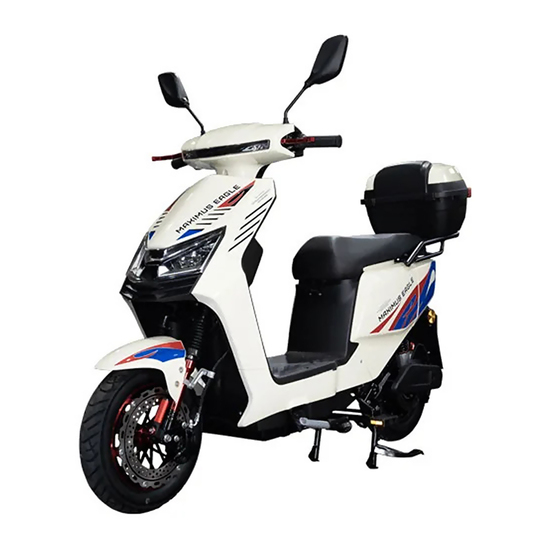 Električni bicikl Maximus Eagle Dakar, 250 W, 25 km/h